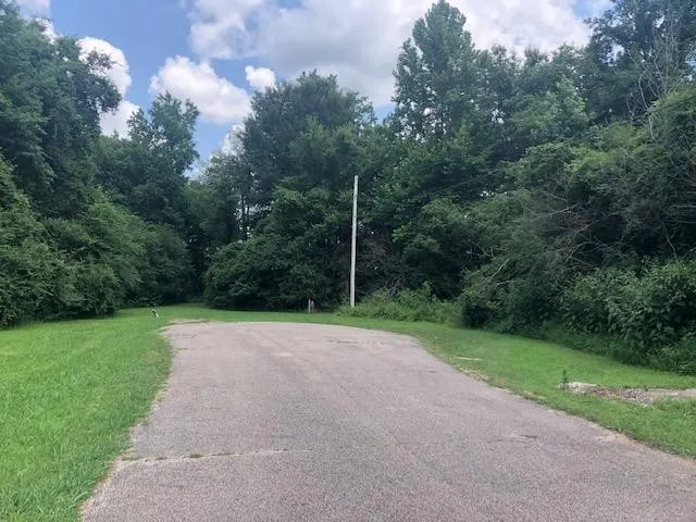 0 LYNNWOOD CV Adamsville, TN 38310