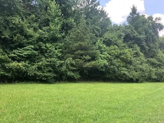 0 LYNNWOOD CV Adamsville, TN 38310