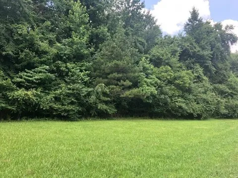 0 LYNNWOOD CV