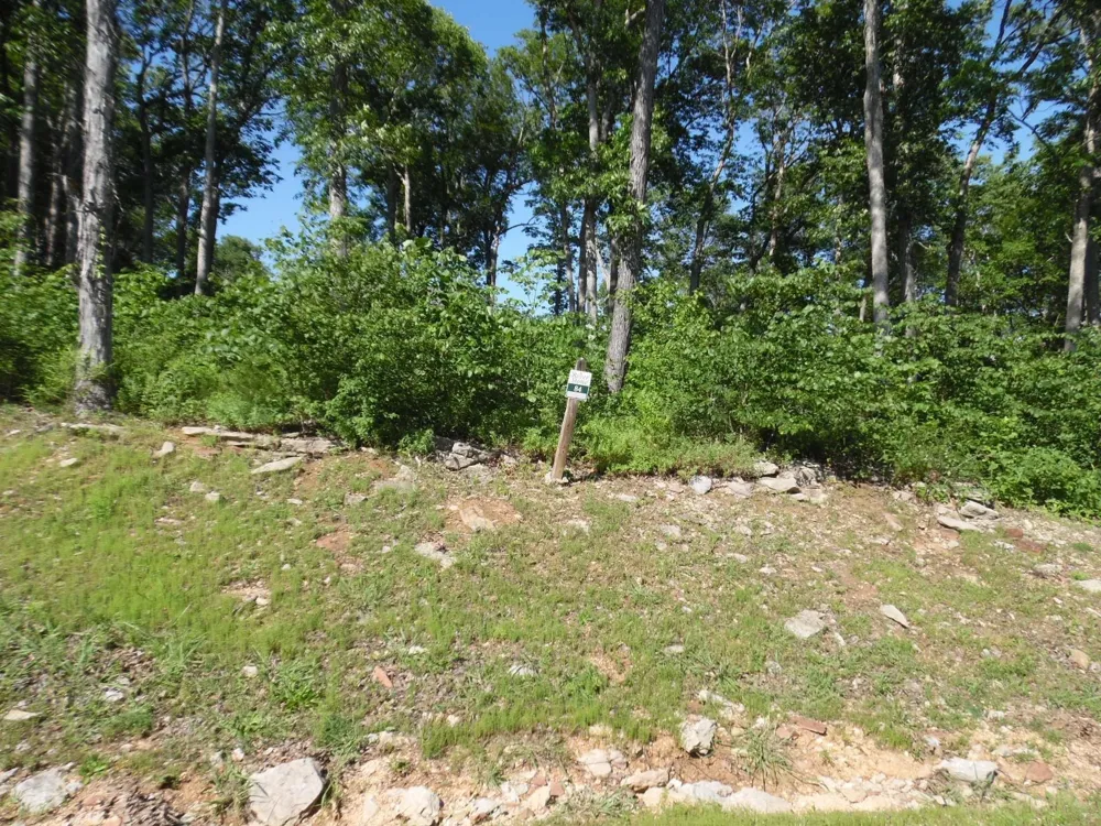 0 ADAM LOOP Bath Springs, TN 38311