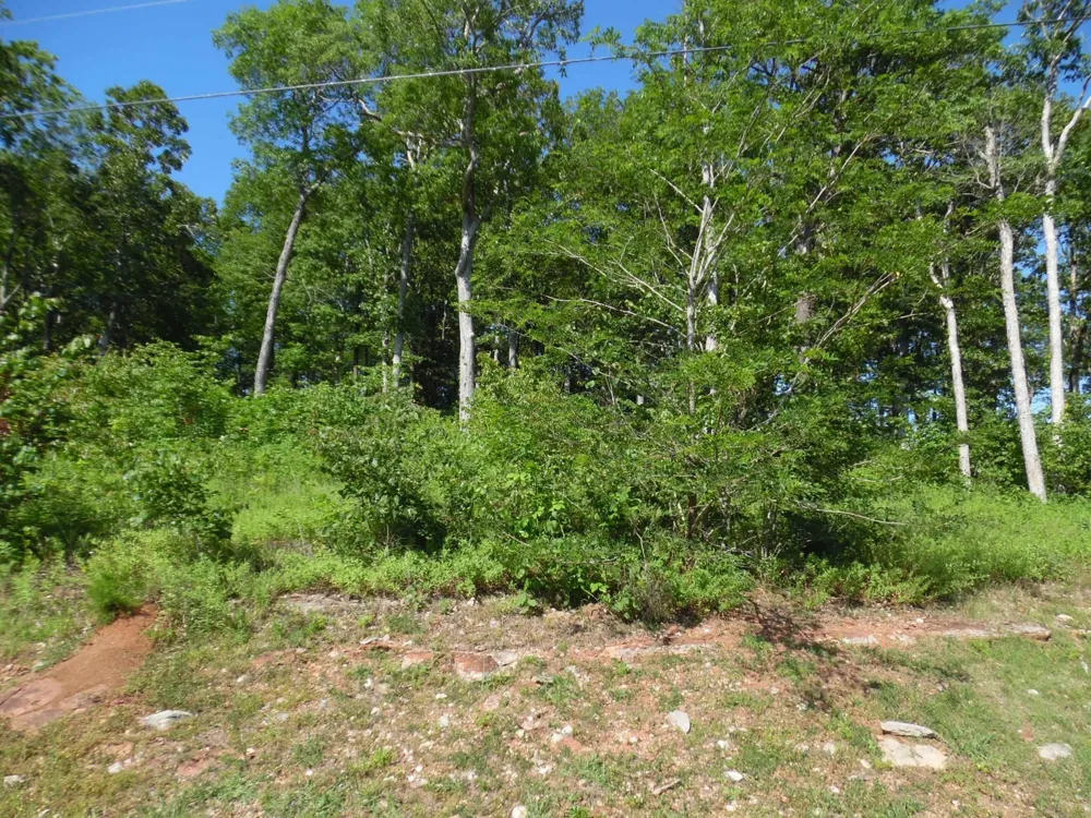 0 ADAM LOOP Bath Springs, TN 38311