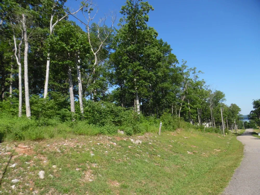 0 ADAM LOOP Bath Springs, TN 38311