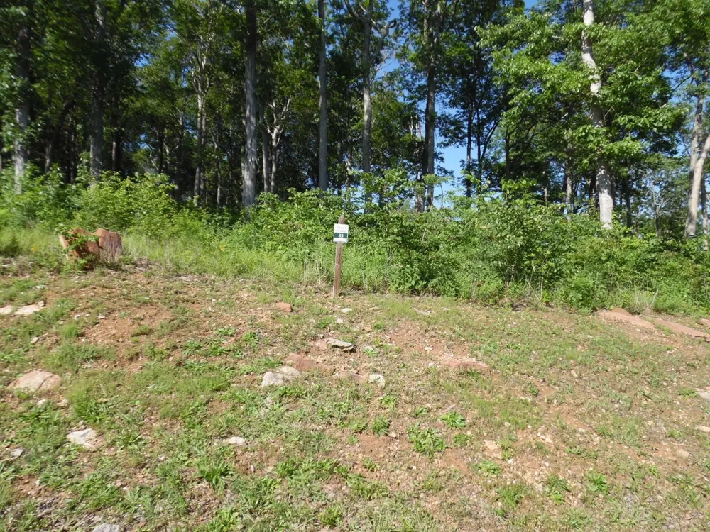 0 ADAM LOOP Bath Springs, TN 38311