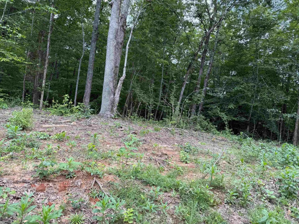 0 Hwy 69 Savannah, TN 38372