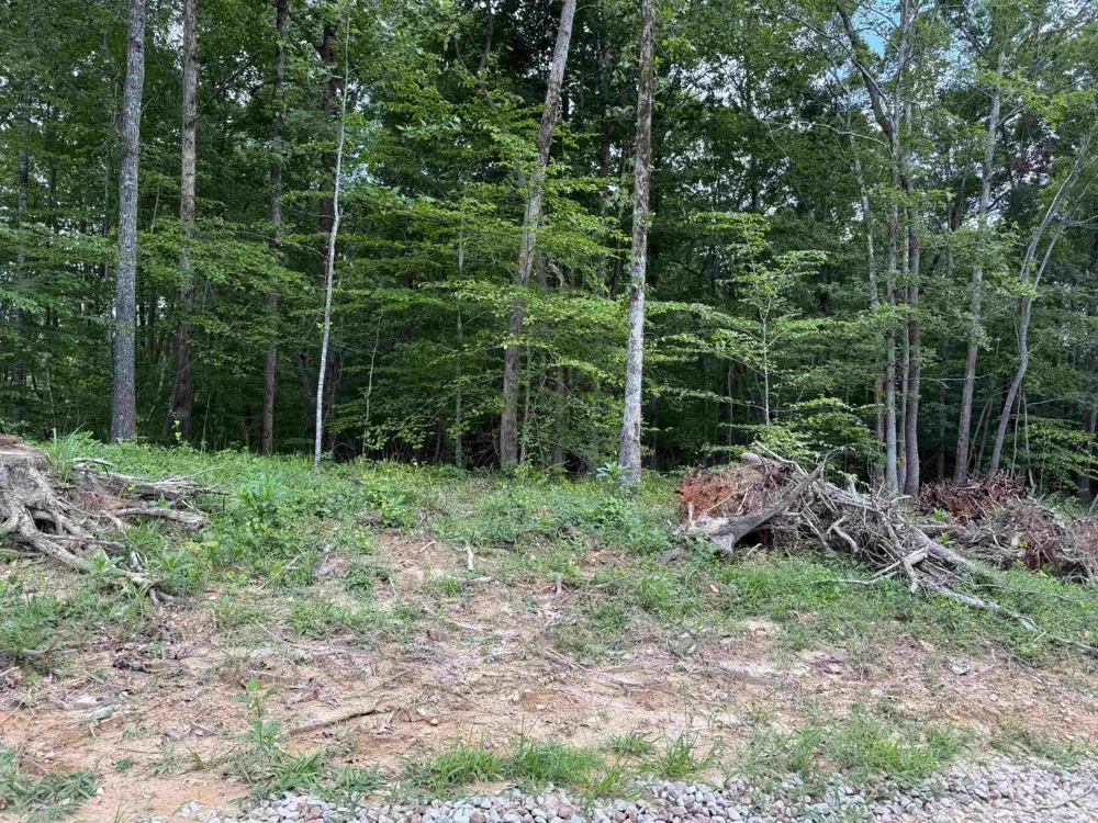 0 Hwy 69 Savannah, TN 38372