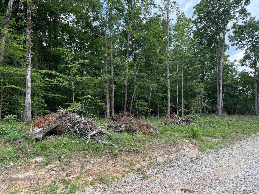 0 Hwy 69 Savannah, TN 38372