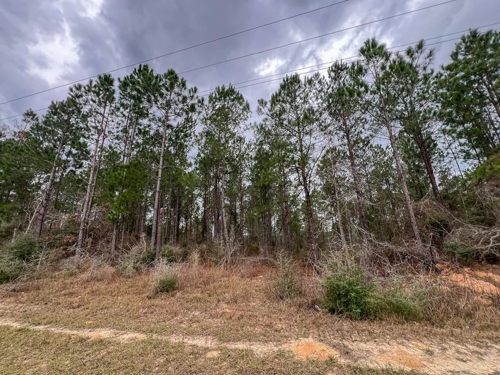 2 Farm To Market 1012 Newton, TX 75966