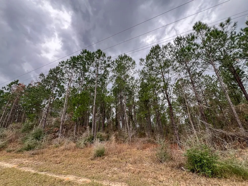 2 Farm To Market 1012 Newton, TX 75966