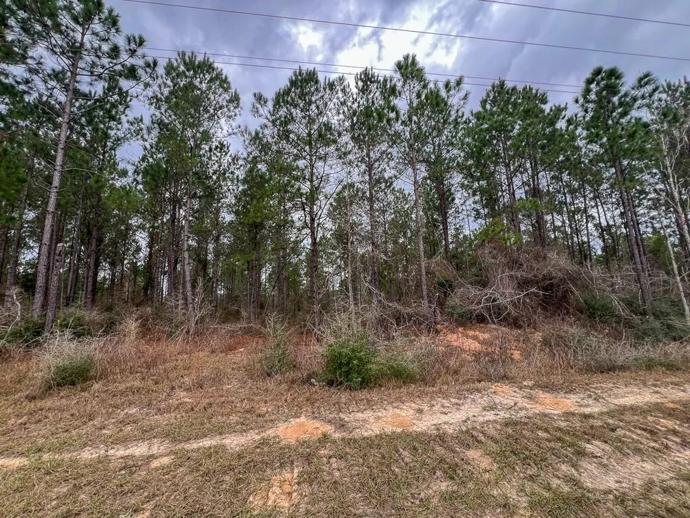 2 Farm To Market 1012 Newton, TX 75966