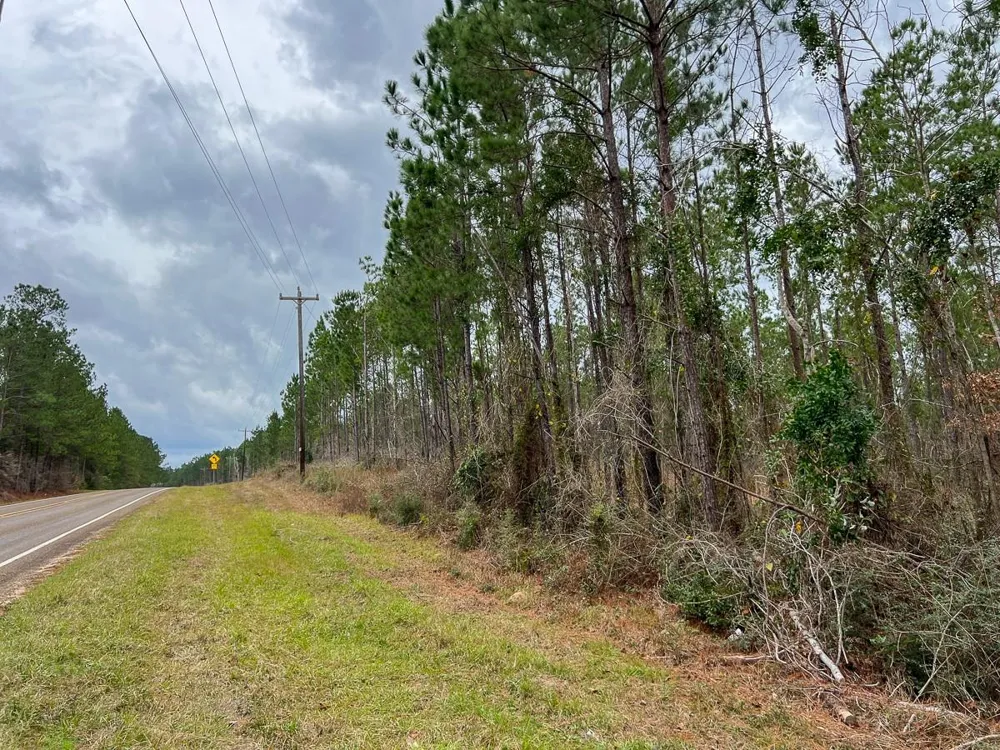 2 Farm To Market 1012 Newton, TX 75966