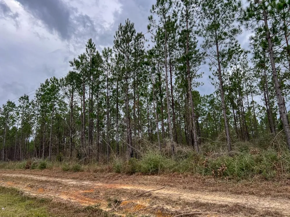 2 Farm To Market 1012 Newton, TX 75966