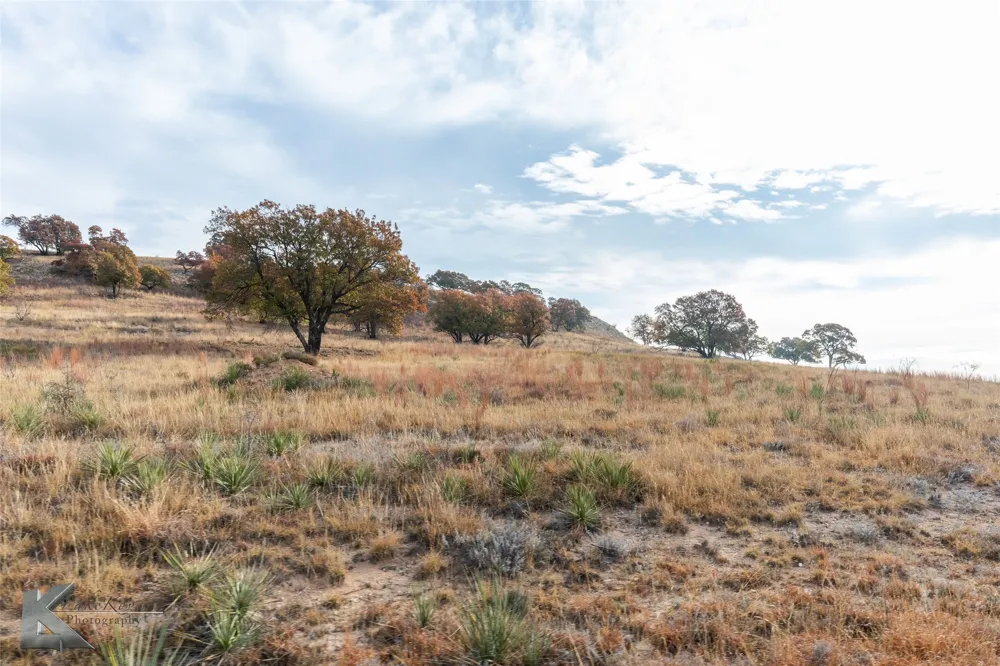 1034 County Road 207 Ovalo, TX 79541