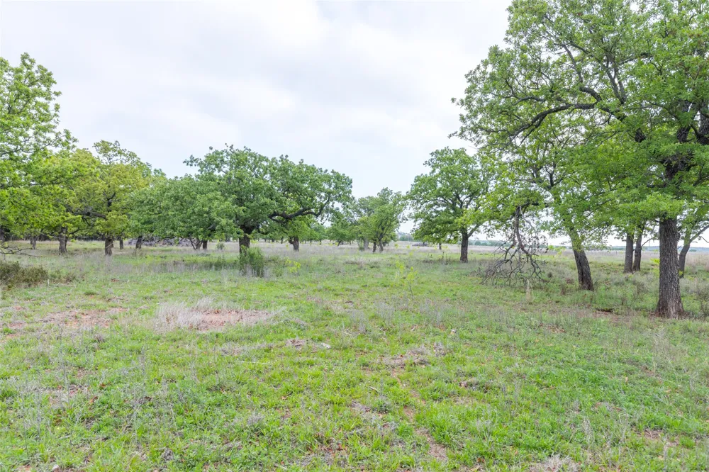 1034 County Road 207 Ovalo, TX 79541