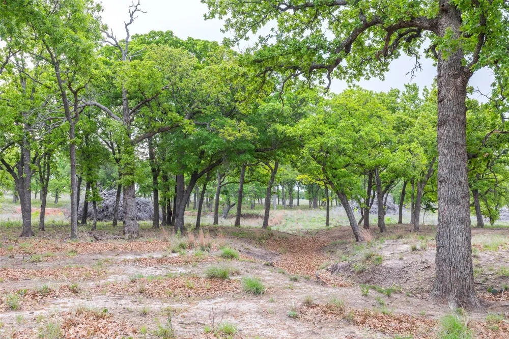 1034 County Road 207 Ovalo, TX 79541