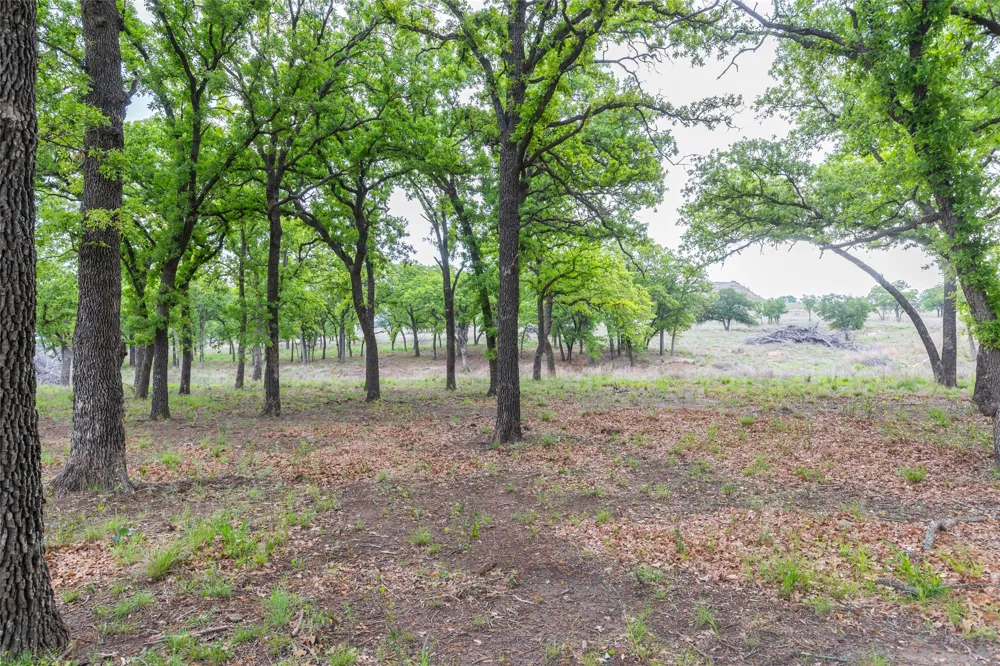 1034 County Road 207 Ovalo, TX 79541