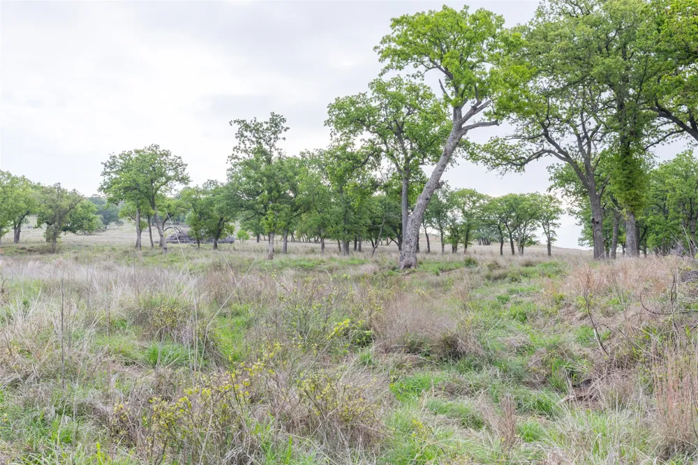 1034 County Road 207 Ovalo, TX 79541