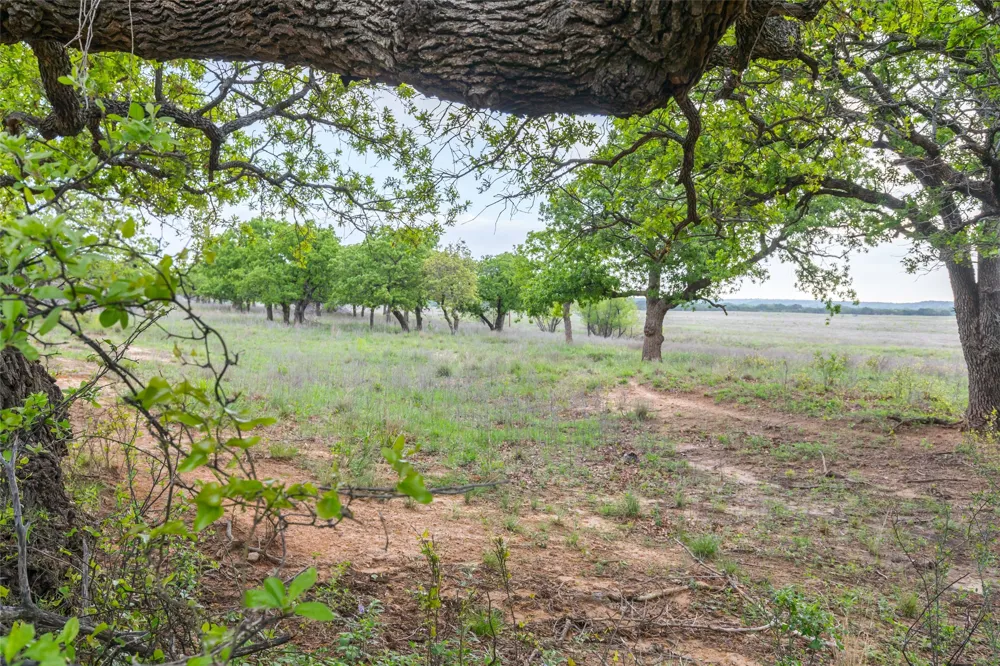 1034 County Road 207 Ovalo, TX 79541