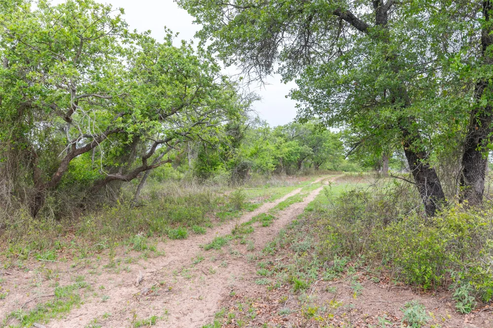 1034 County Road 207 Ovalo, TX 79541