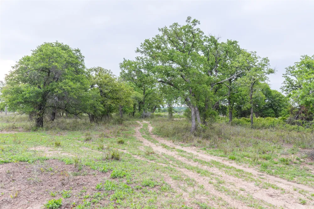 1034 County Road 207 Ovalo, TX 79541