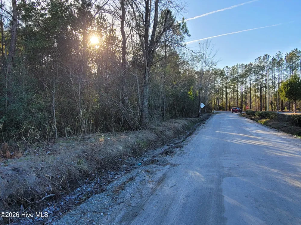 Tbd Lot 3 Auburn Drive Loris, SC 29569