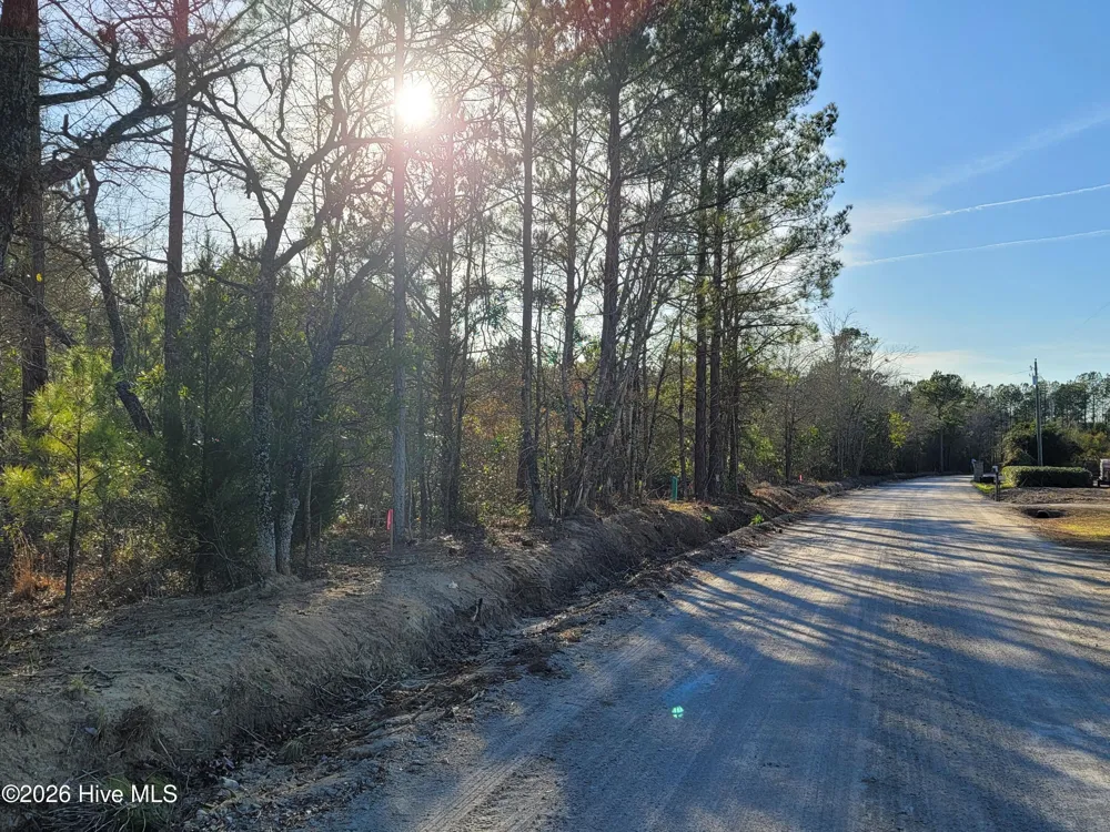 Tbd Lot 3 Auburn Drive Loris, SC 29569
