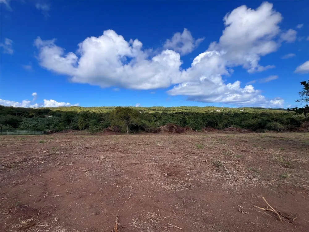 D8 PUERTO REAL REMANENTE Vieques, PR 00765
