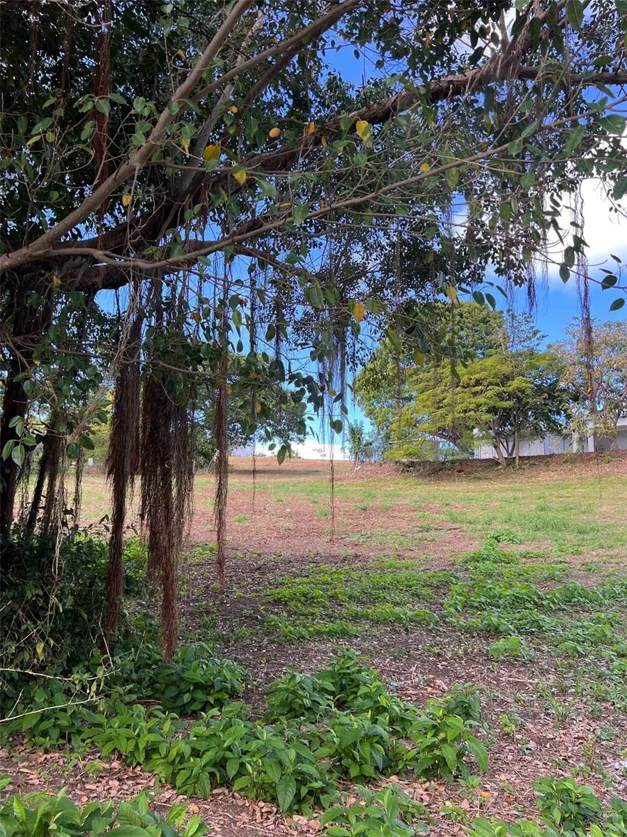 D8 PUERTO REAL REMANENTE Vieques, PR 00765