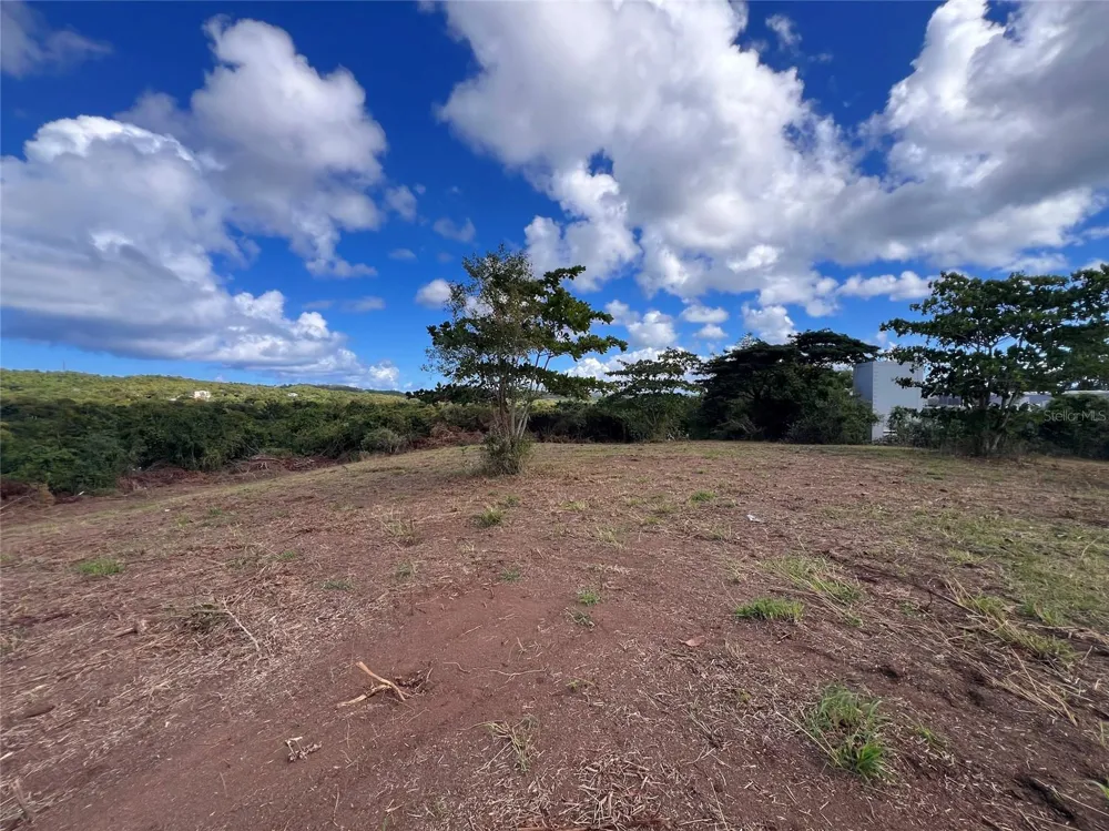 D8 PUERTO REAL REMANENTE Vieques, PR 00765