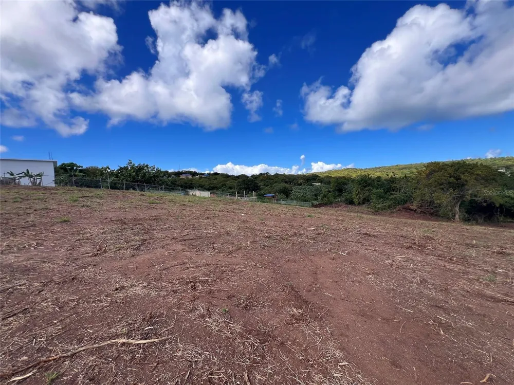D8 PUERTO REAL REMANENTE Vieques, PR 00765