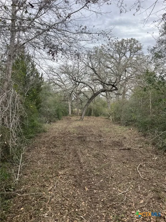 164 County Road 187 Hallettsville, TX 77964