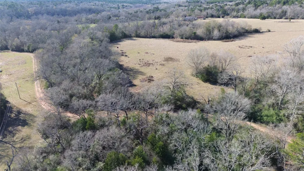 Fm 1272 Grapeland, TX 75844