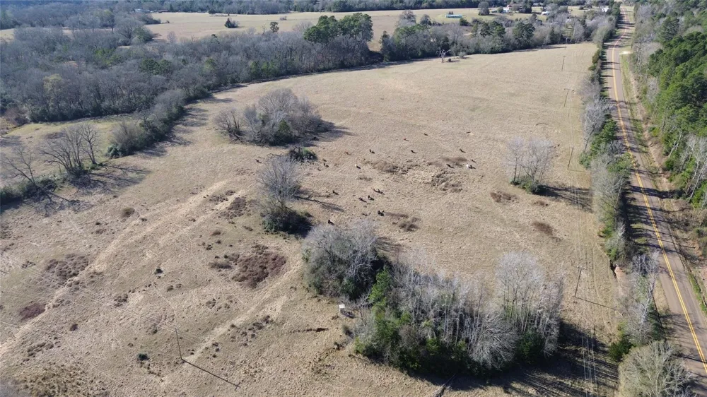 Fm 1272 Grapeland, TX 75844