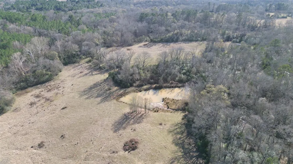 Fm 1272 Grapeland, TX 75844