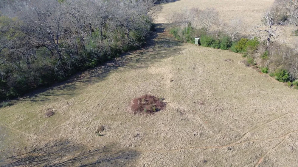 Fm 1272 Grapeland, TX 75844
