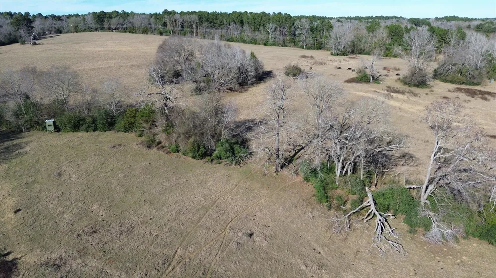 Fm 1272 Grapeland, TX 75844