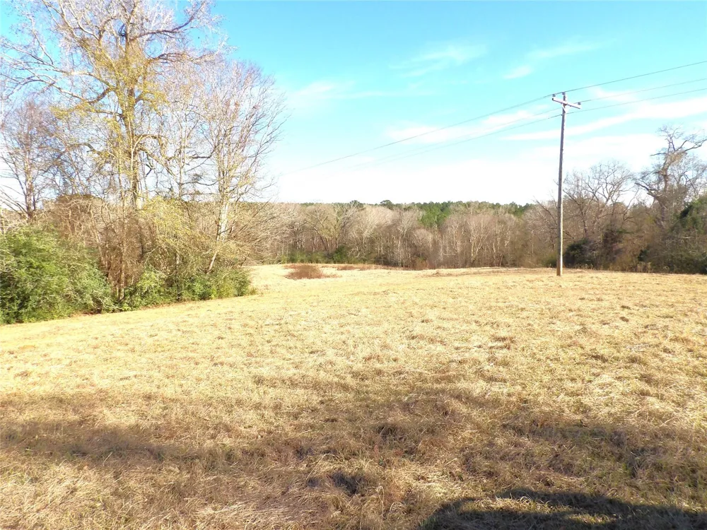 Fm 1272 Grapeland, TX 75844