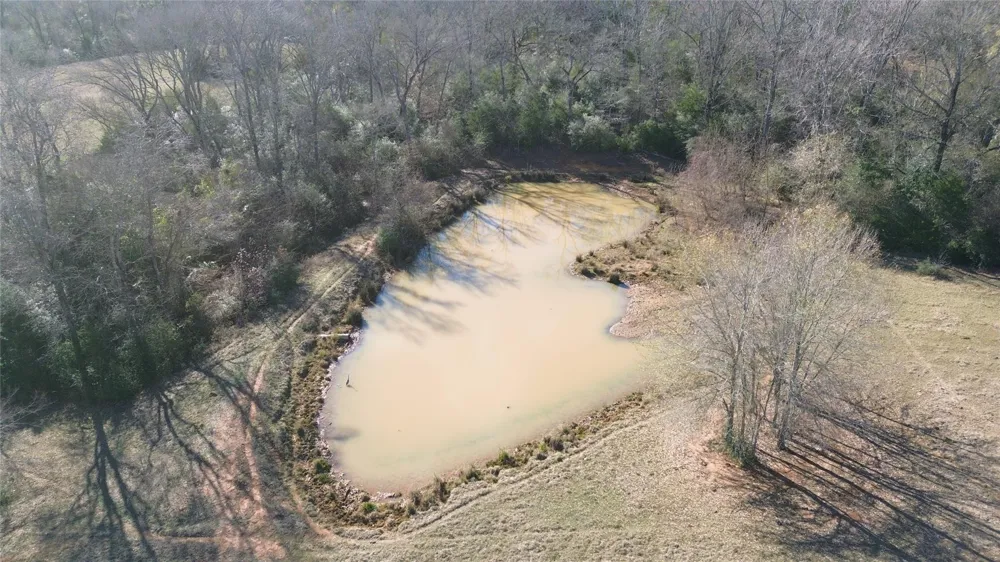 Fm 1272 Grapeland, TX 75844