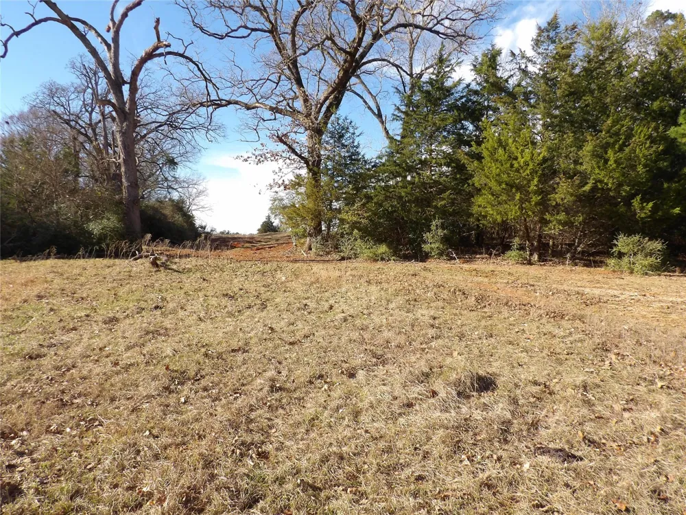 Fm 1272 Grapeland, TX 75844