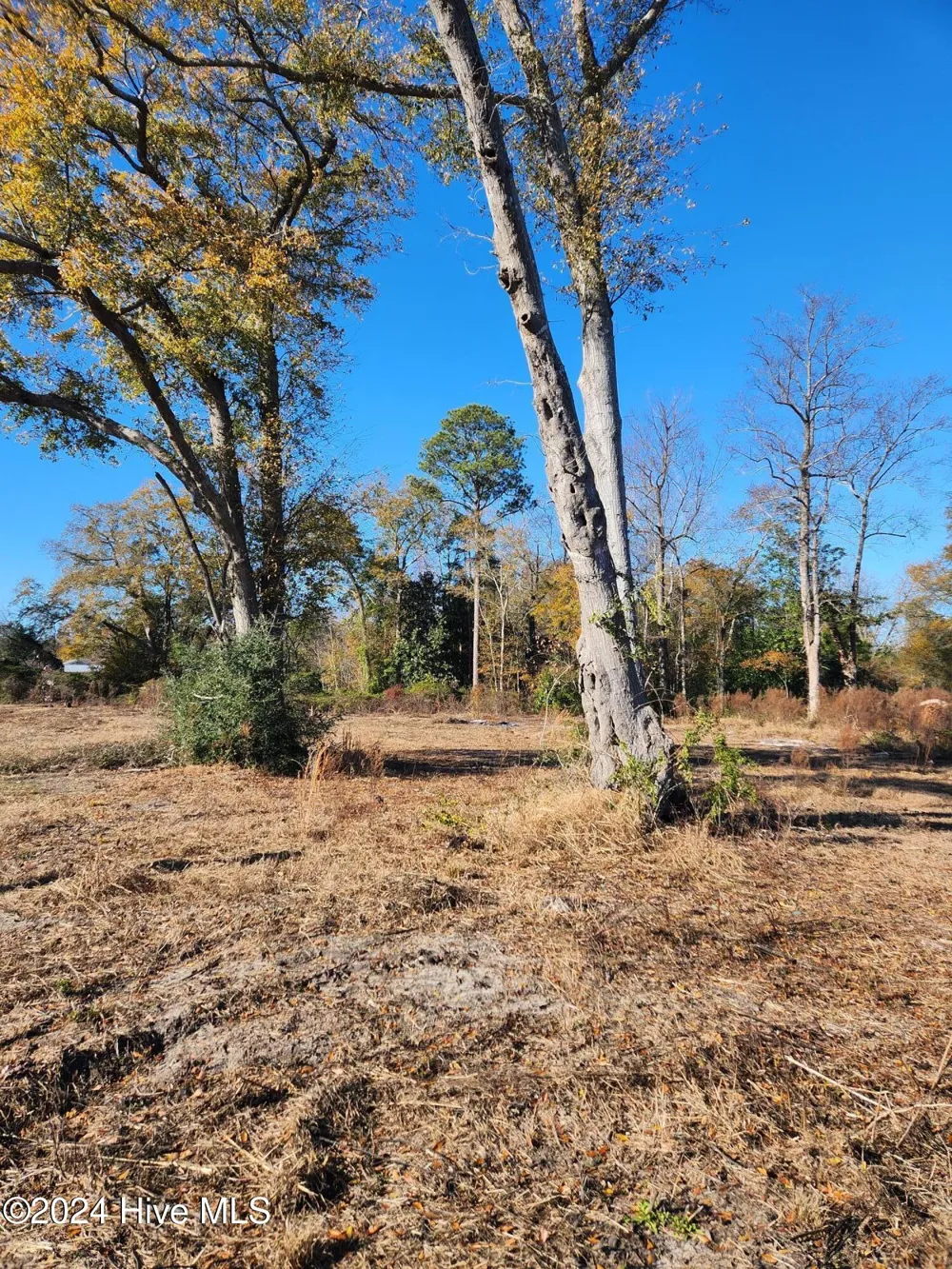 E1107 Eleven Farms Rd. Road Salemburg, NC 28385