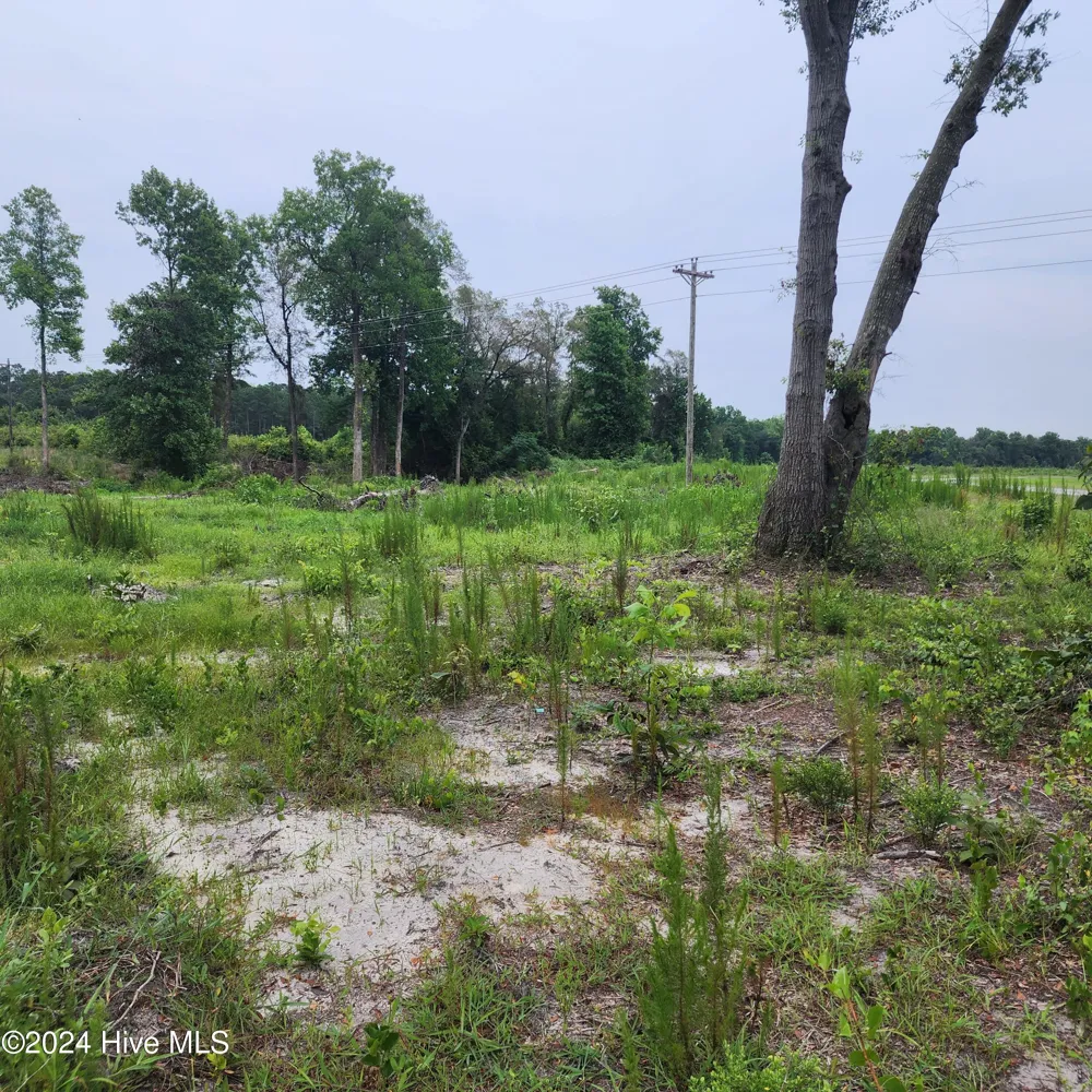 E1107 Eleven Farms Rd. Road Salemburg, NC 28385