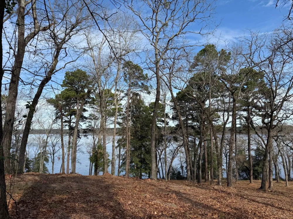 3268 Shadow Pine Drive Larue, TX 75770