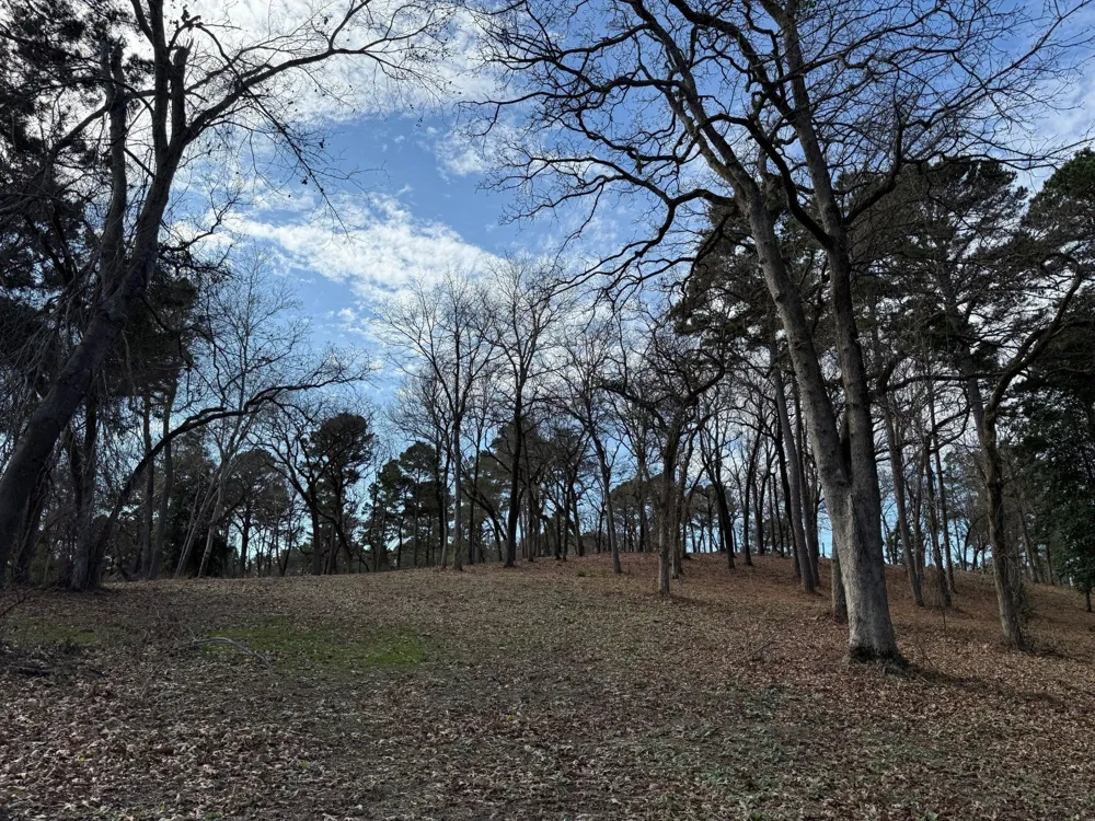 3268 Shadow Pine Drive Larue, TX 75770