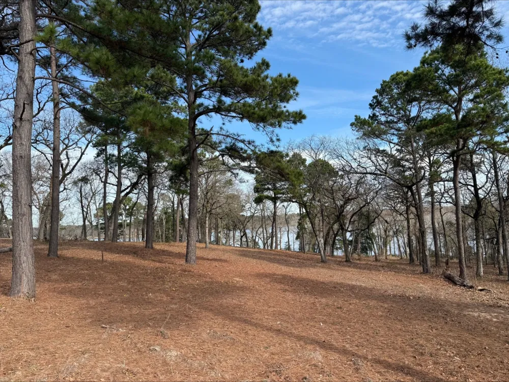 3268 Shadow Pine Drive Larue, TX 75770