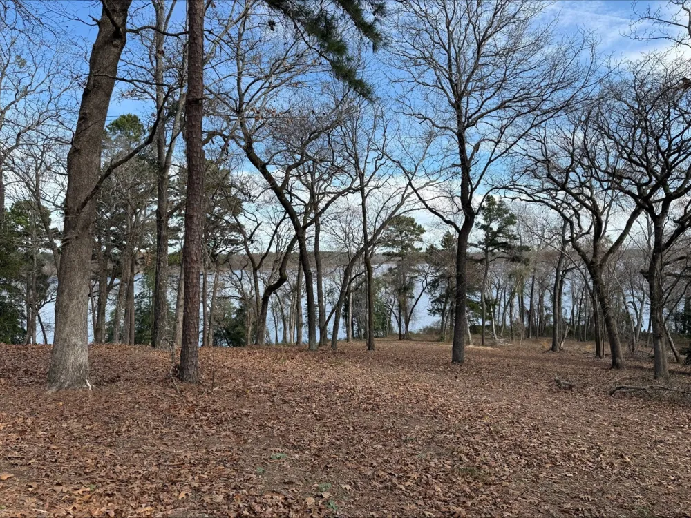 3268 Shadow Pine Drive Larue, TX 75770