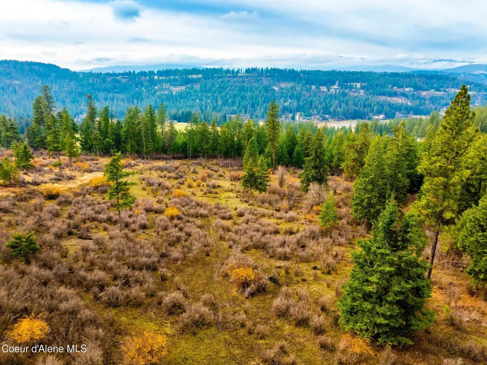 NKA LISA ROAD (35 ACRES) Harrison, ID 83833