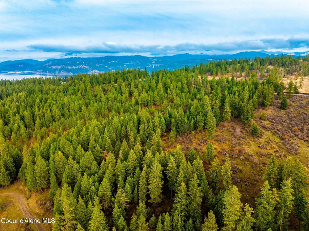 NKA LISA ROAD (35 ACRES) Harrison, ID 83833