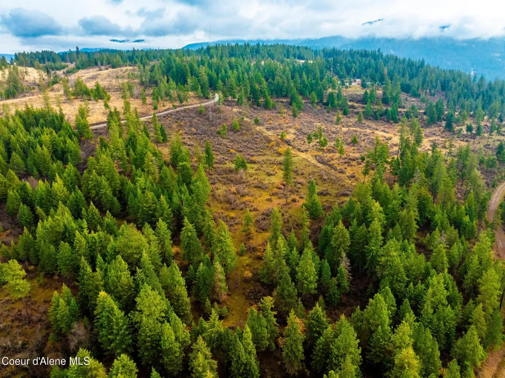 NKA LISA ROAD (35 ACRES) Harrison, ID 83833