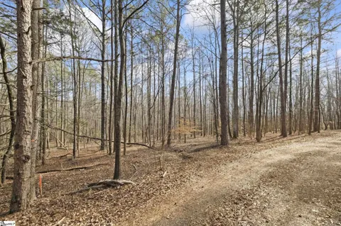 1747 Dalrymple Road #Lot 3