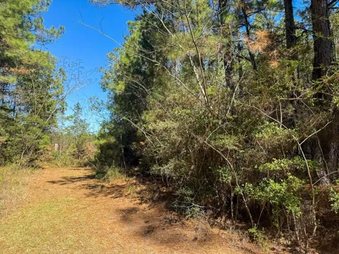 Chanticlear Drive