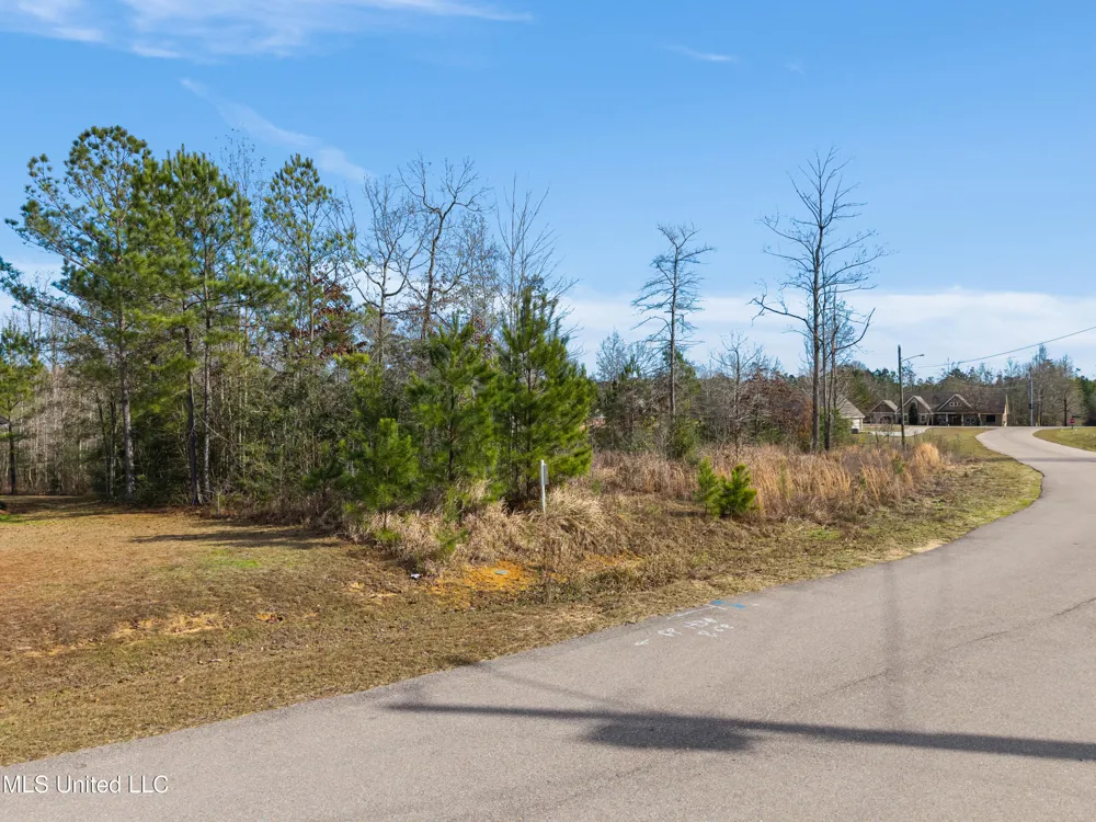 10 Crossbuck Road Sumrall, MS 39482